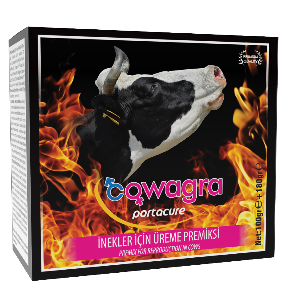 COWAGRA Kızgınlık Ve Döl Tutma Destekleyici Premiks