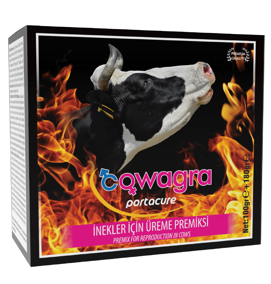 COWAGRA Kızgınlık Ve Döl Tutma Destekleyici Premiks