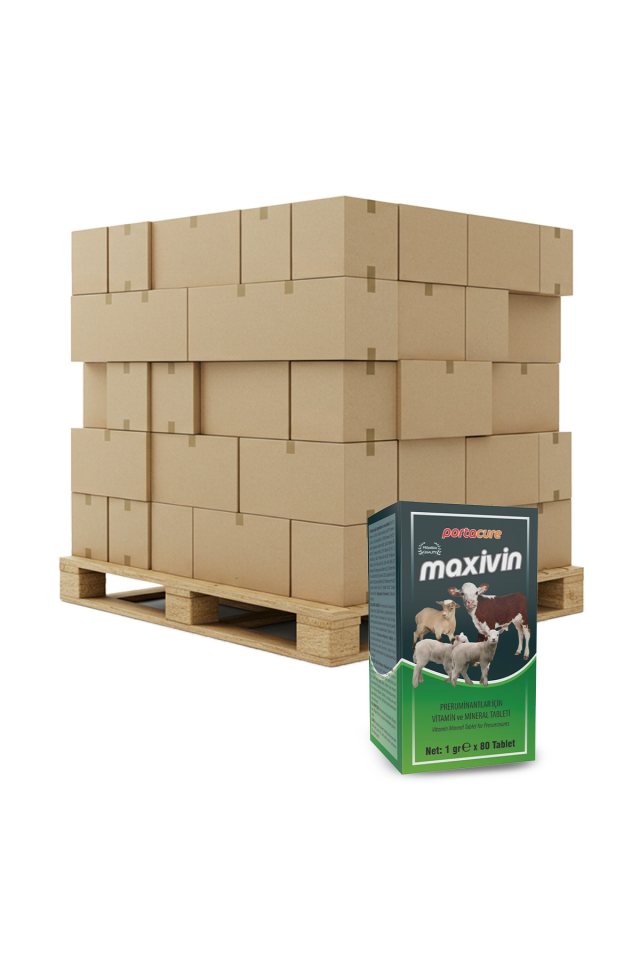 MAXİVİN Buzağı, Kuzu ve Oğlak için Yüksek Düzey Vitamin Ve Mineral Tableti