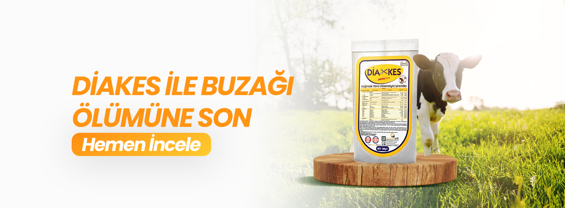 Diakes. Diakes ile Buzağı Ölümüne SON!