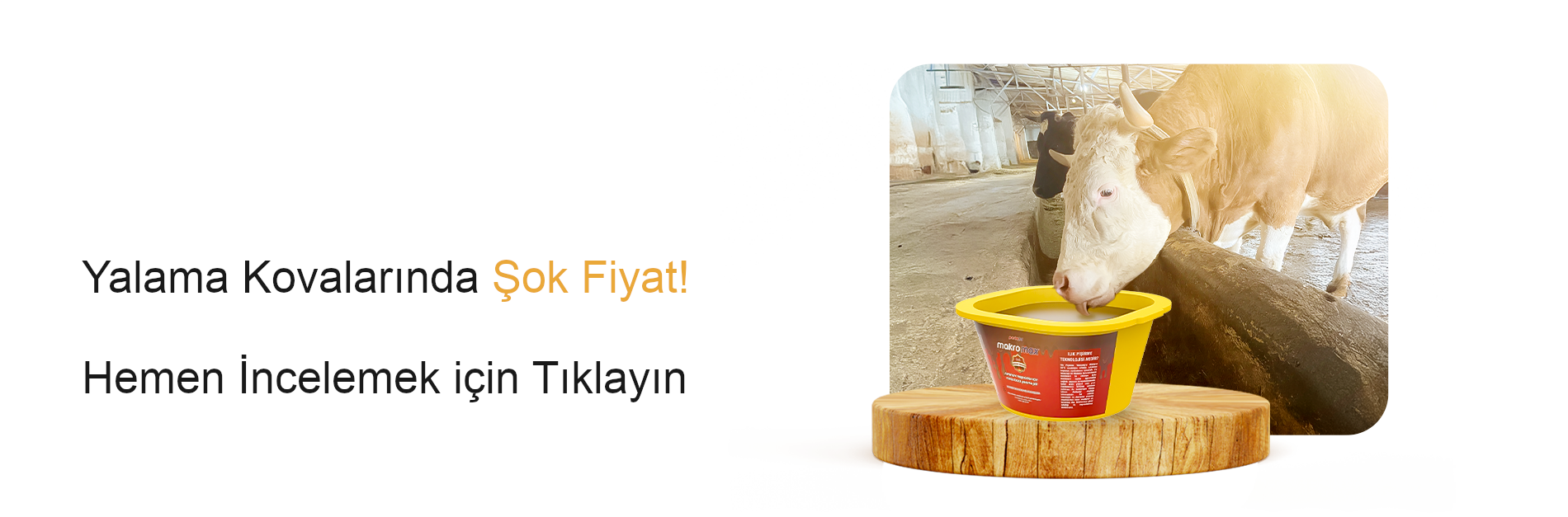Yalama Kovalarında Şok Fiyat! Hemen İncelemek için Tıklayın