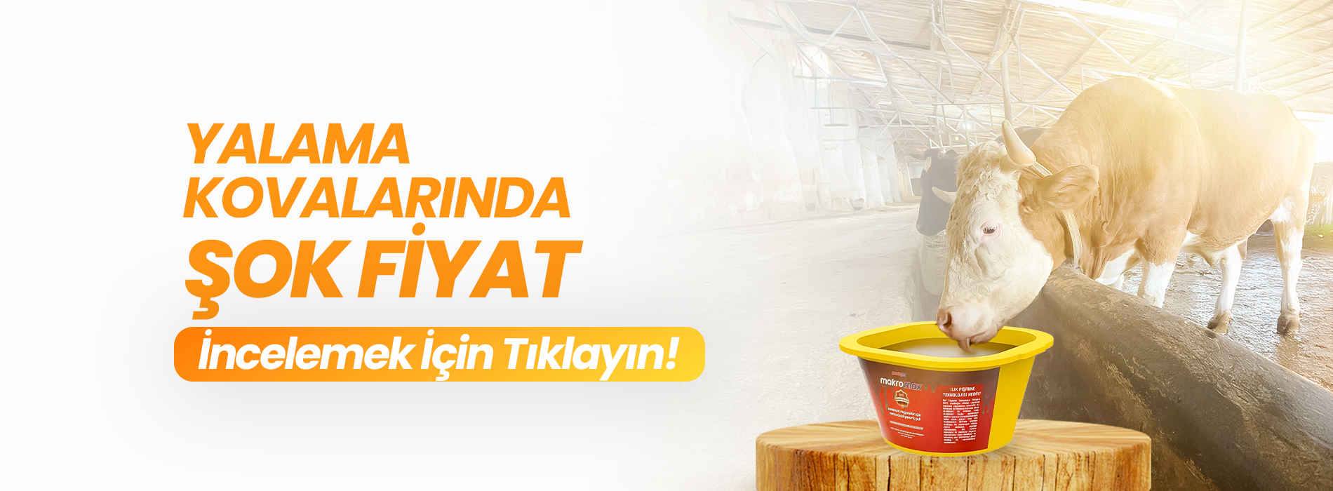 Yalama Kovalarında Şok Fiyat! Hemen İncelemek için Tıklayın