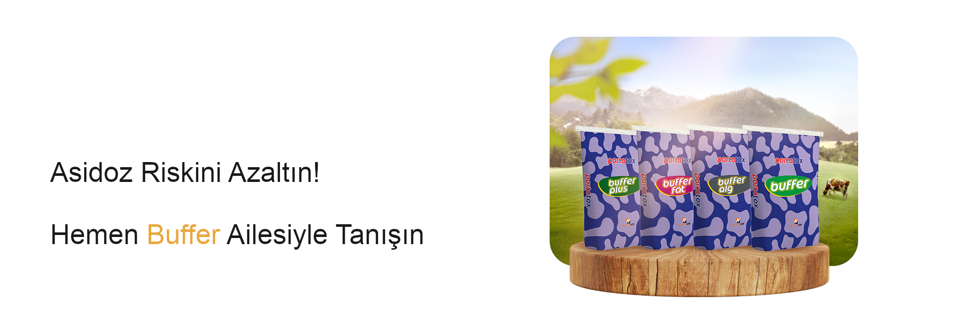 Asidoz Riskini Azaltın! Hemen Bu er Ailesiyle Tanışın