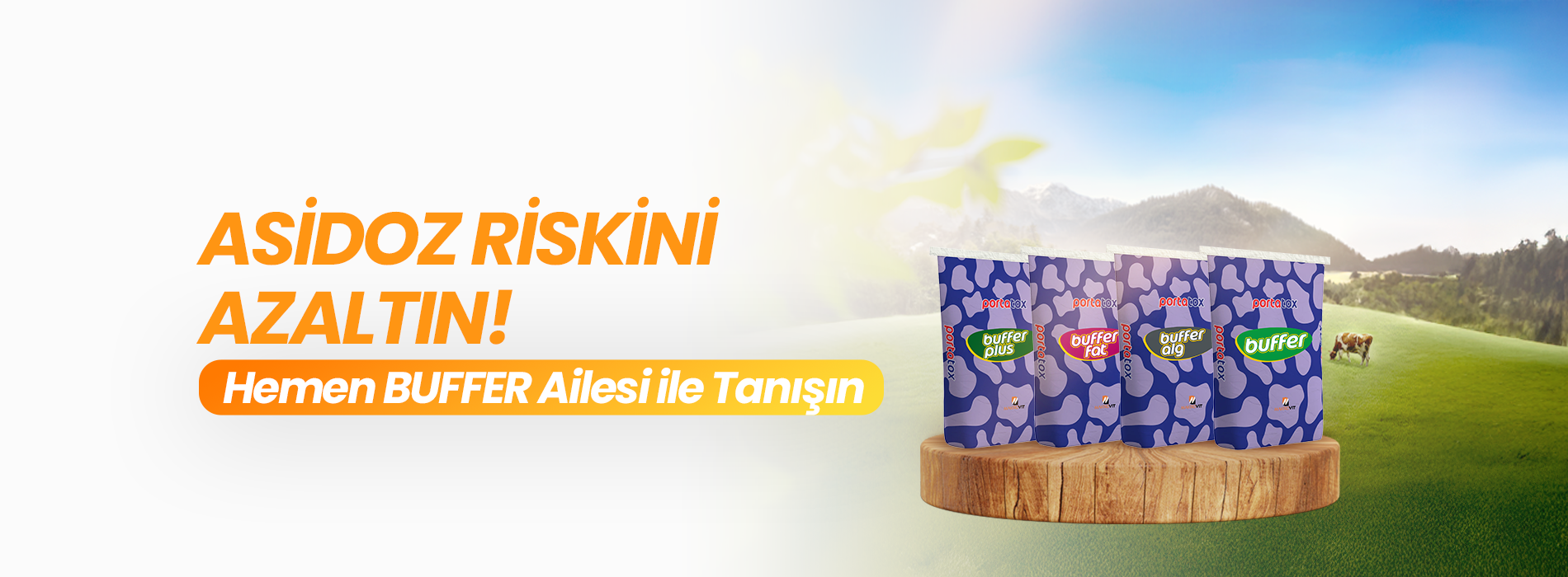 Asidoz Riskini Azaltın! Hemen Bu er Ailesiyle Tanışın